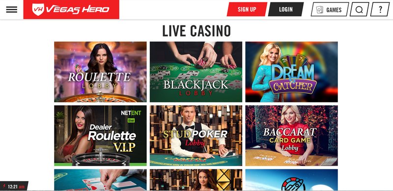 Overview of vegashero casino